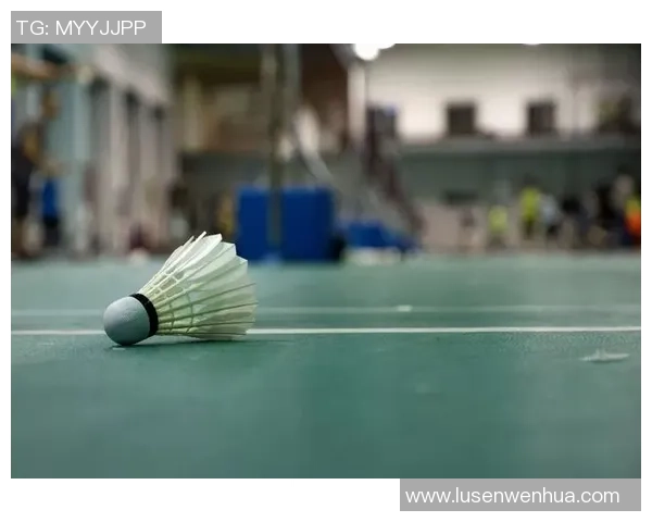 聚焦羽毛球：探讨北京羽毛球队的意识形态与发展方向