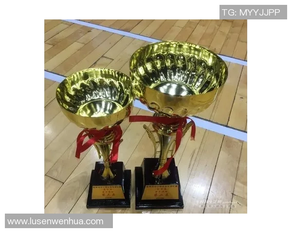 上海羽毛球队的团队协作精神与成功之道探讨