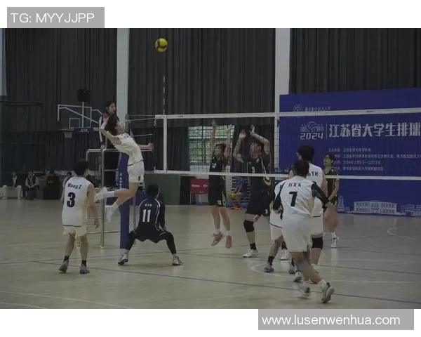 南京排球队在洲际杯中的默契配合展现出团队实力与竞技精神