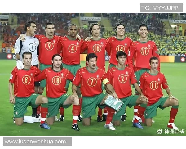 回顾2006年法国足球明星的辉煌历程与世界杯之旅